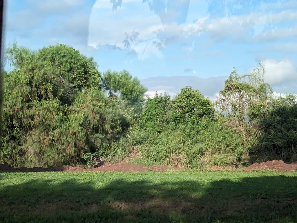 Chicoana
