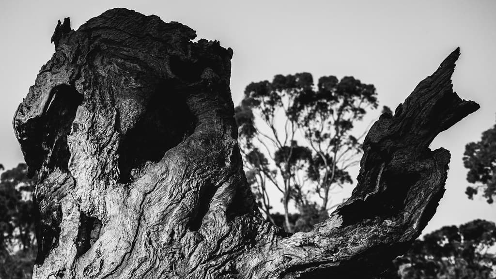 McLaren Vale