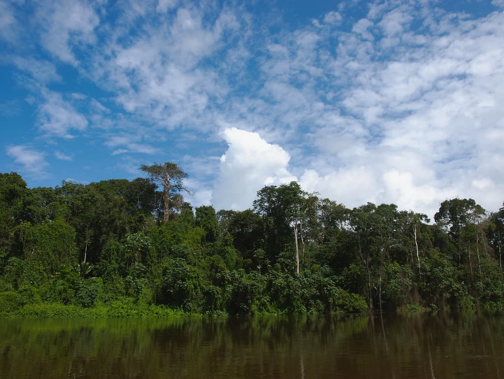 Suriname
