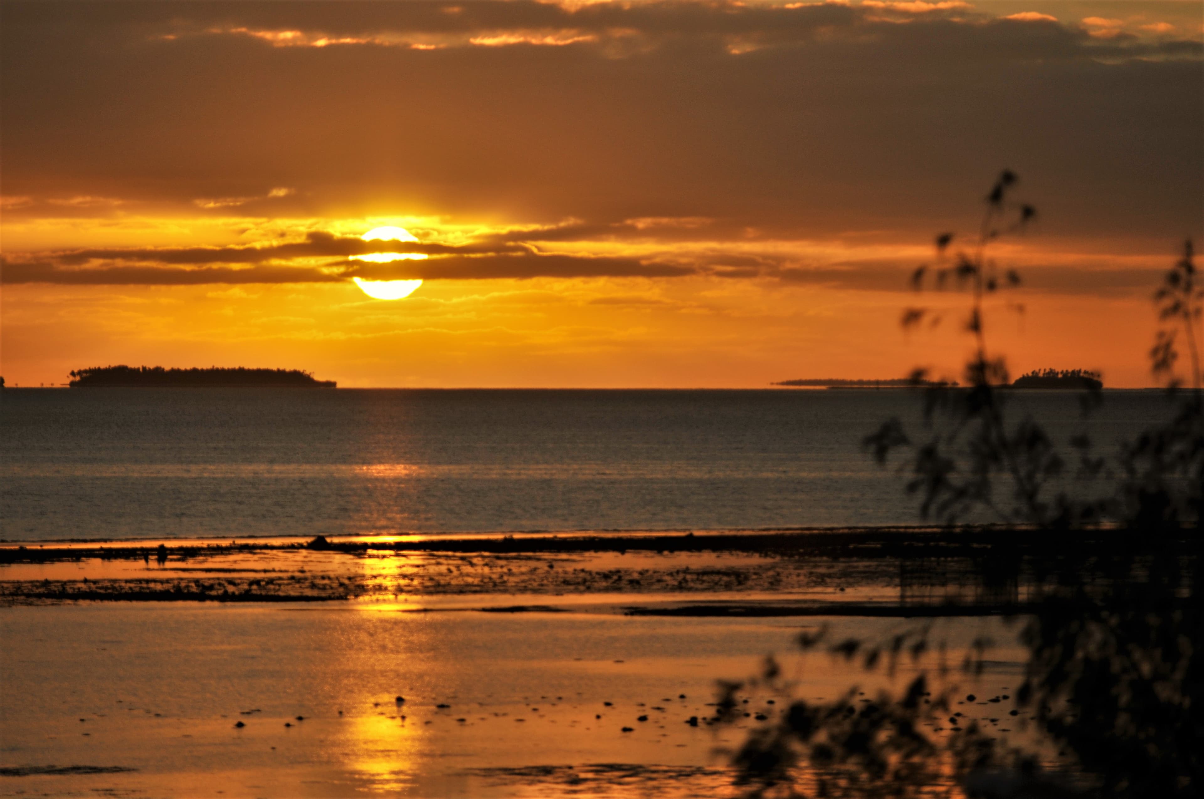 Tonga