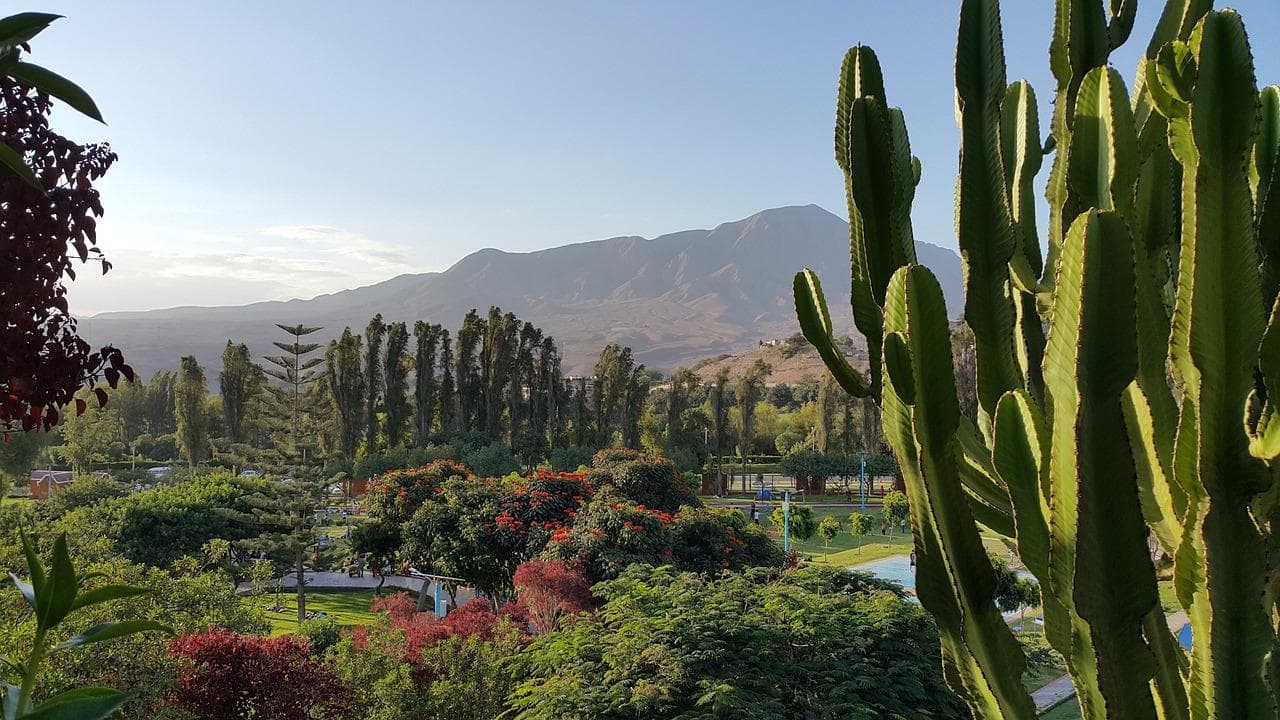 Moquegua Region