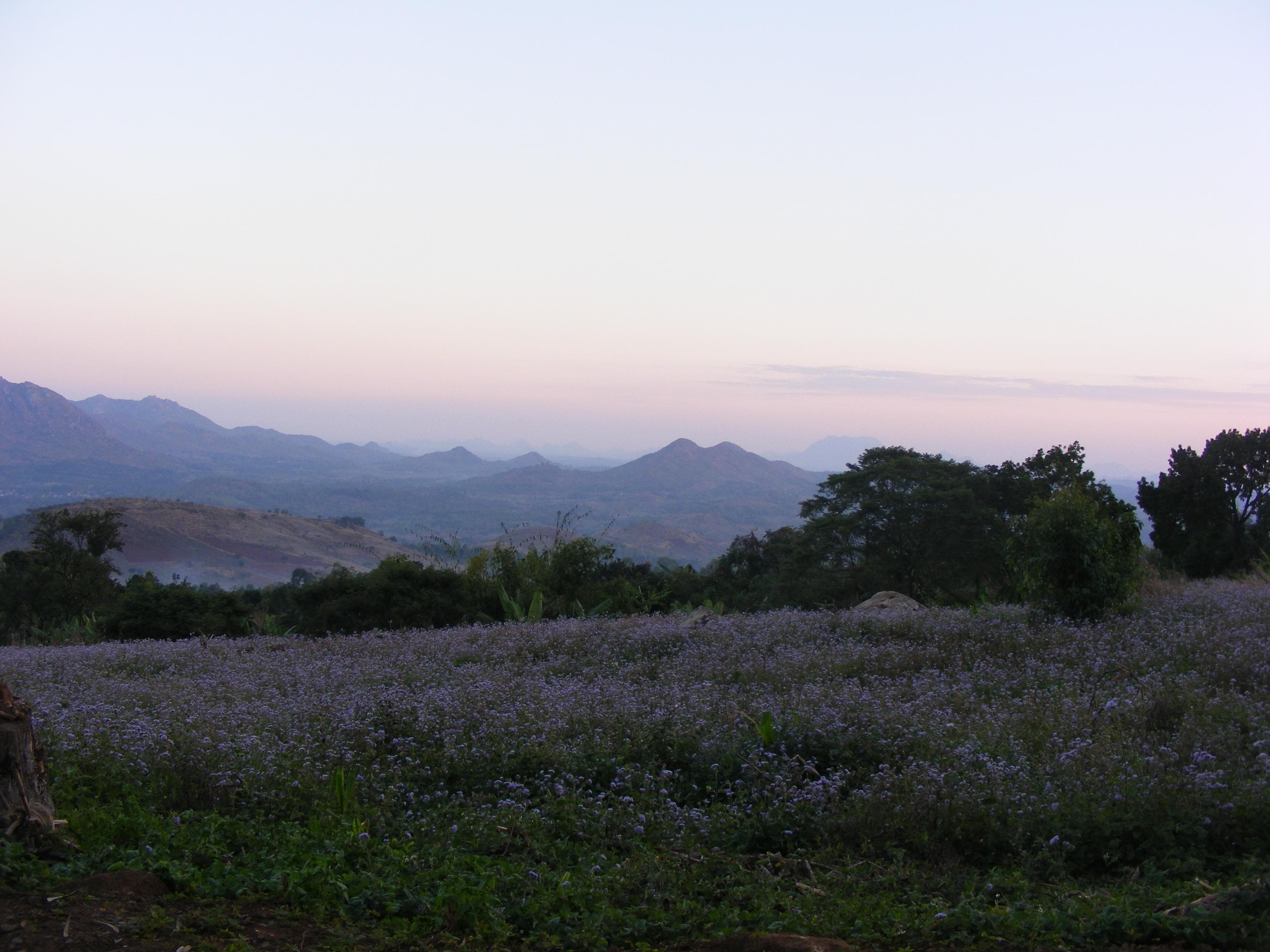 Southern Region