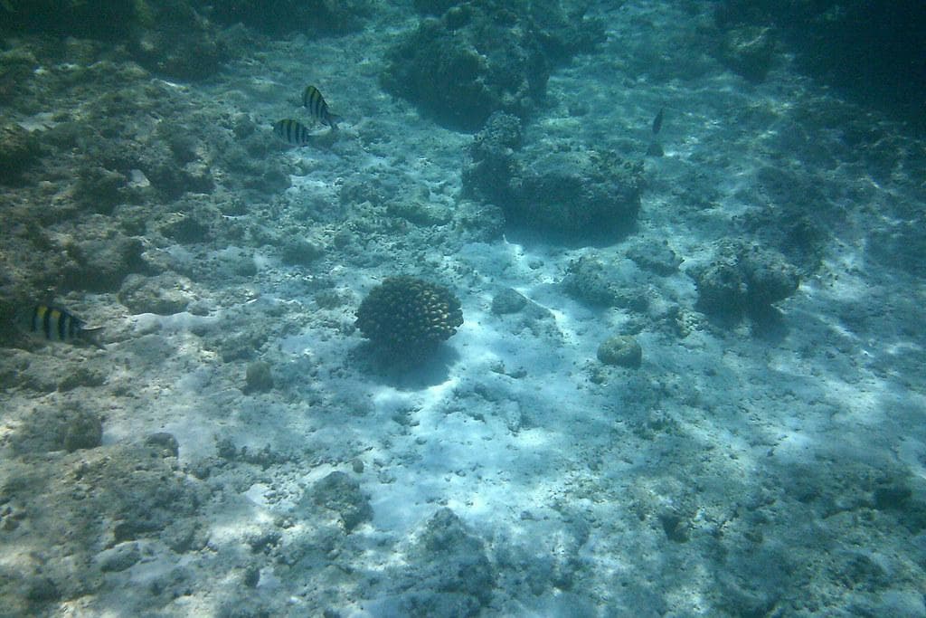 Kaafu Atoll