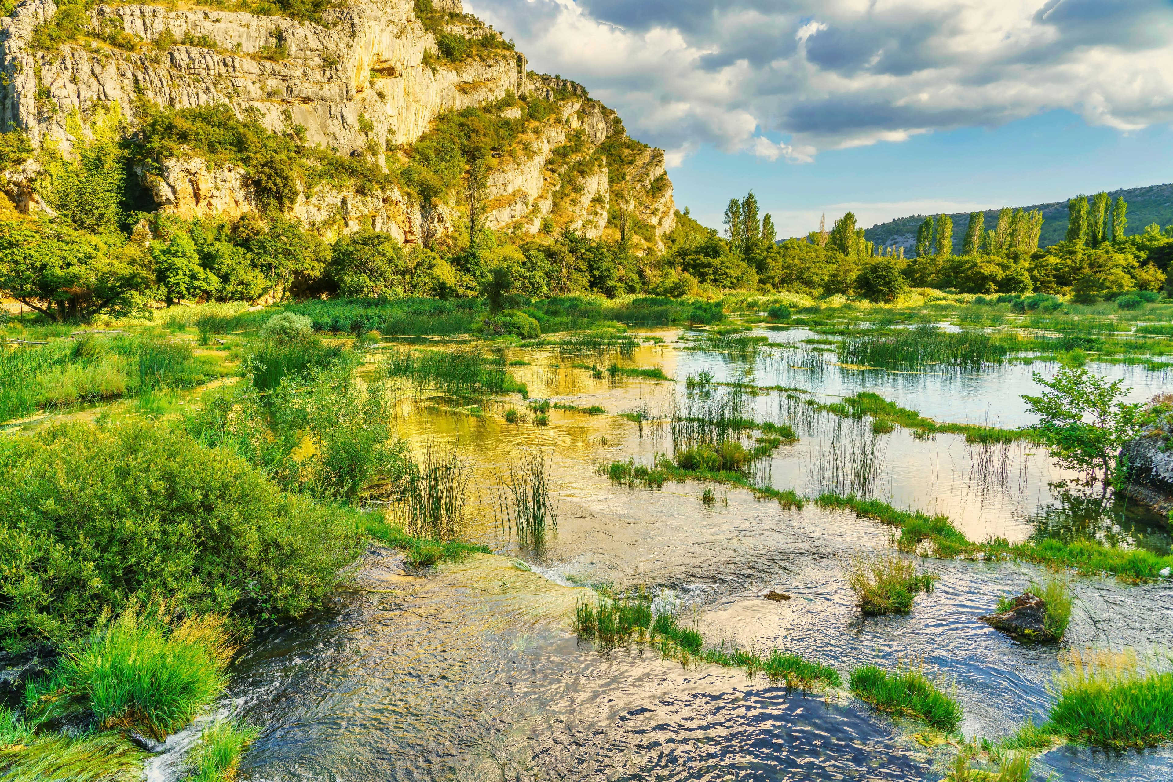 Dalmatia