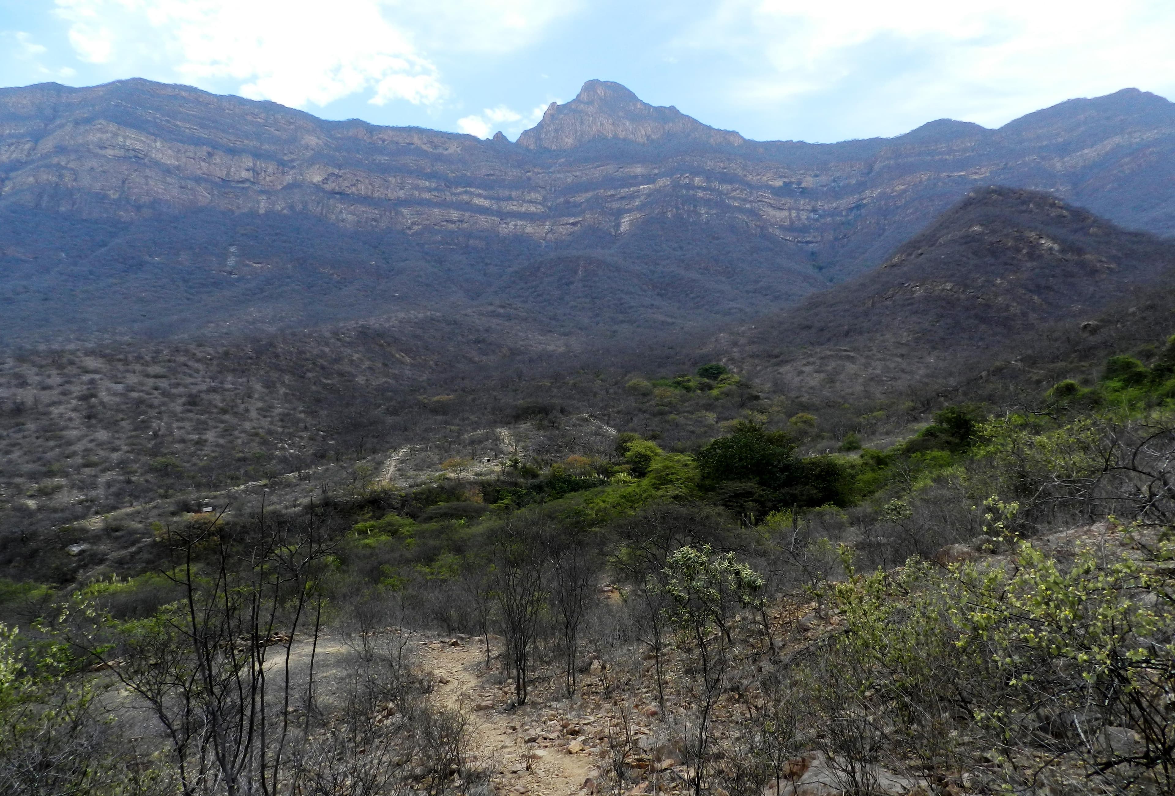 Lambayeque Region