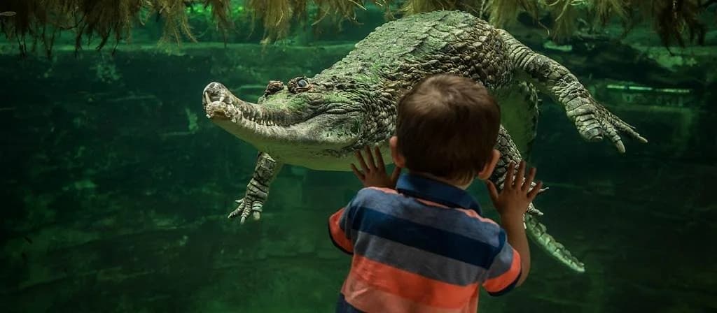 Chester Zoo