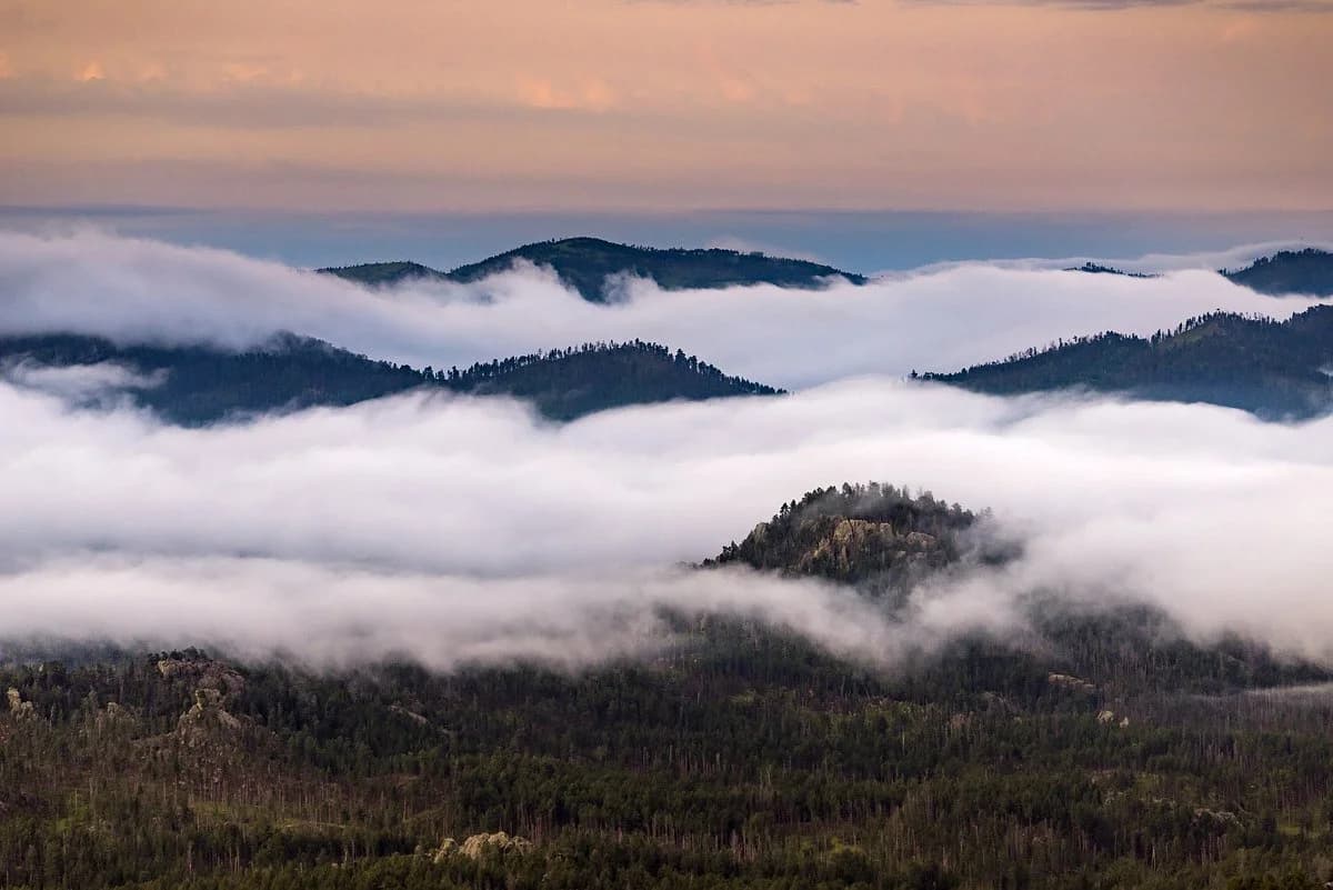 Custer State Park