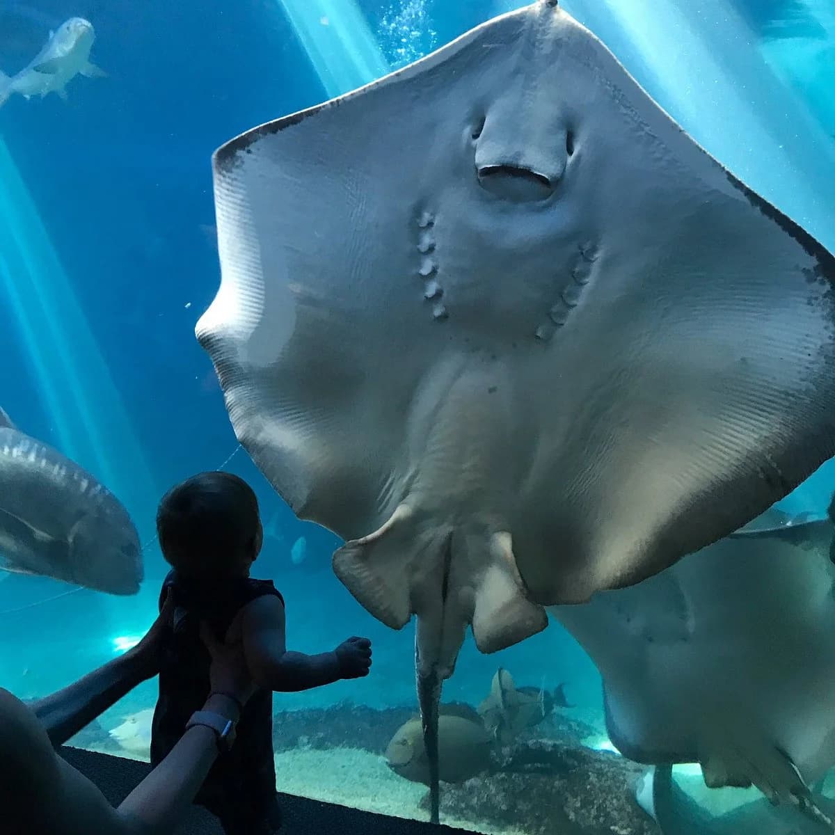 Maui Ocean Center