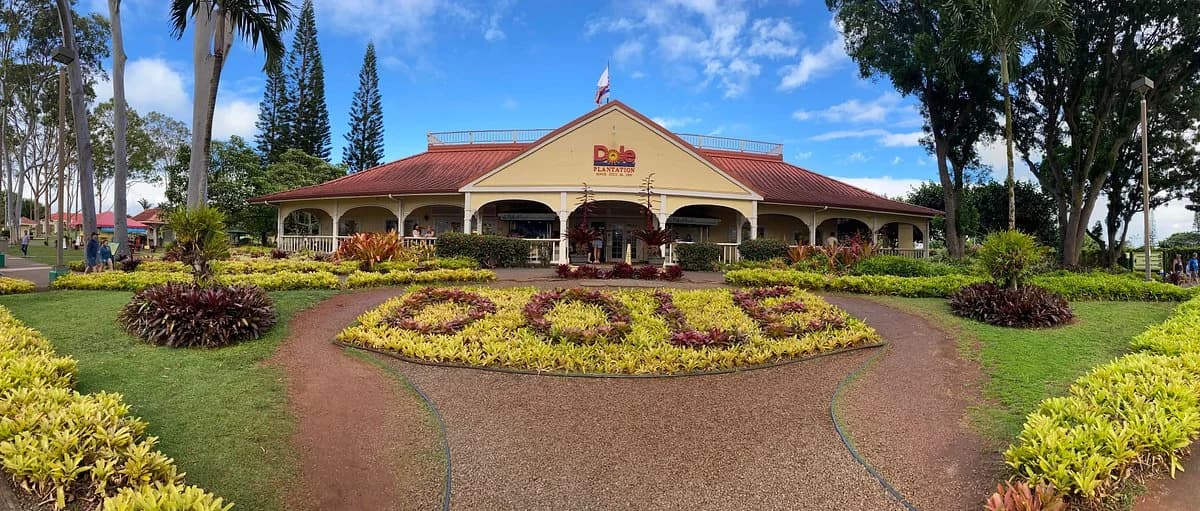 Dole Plantation