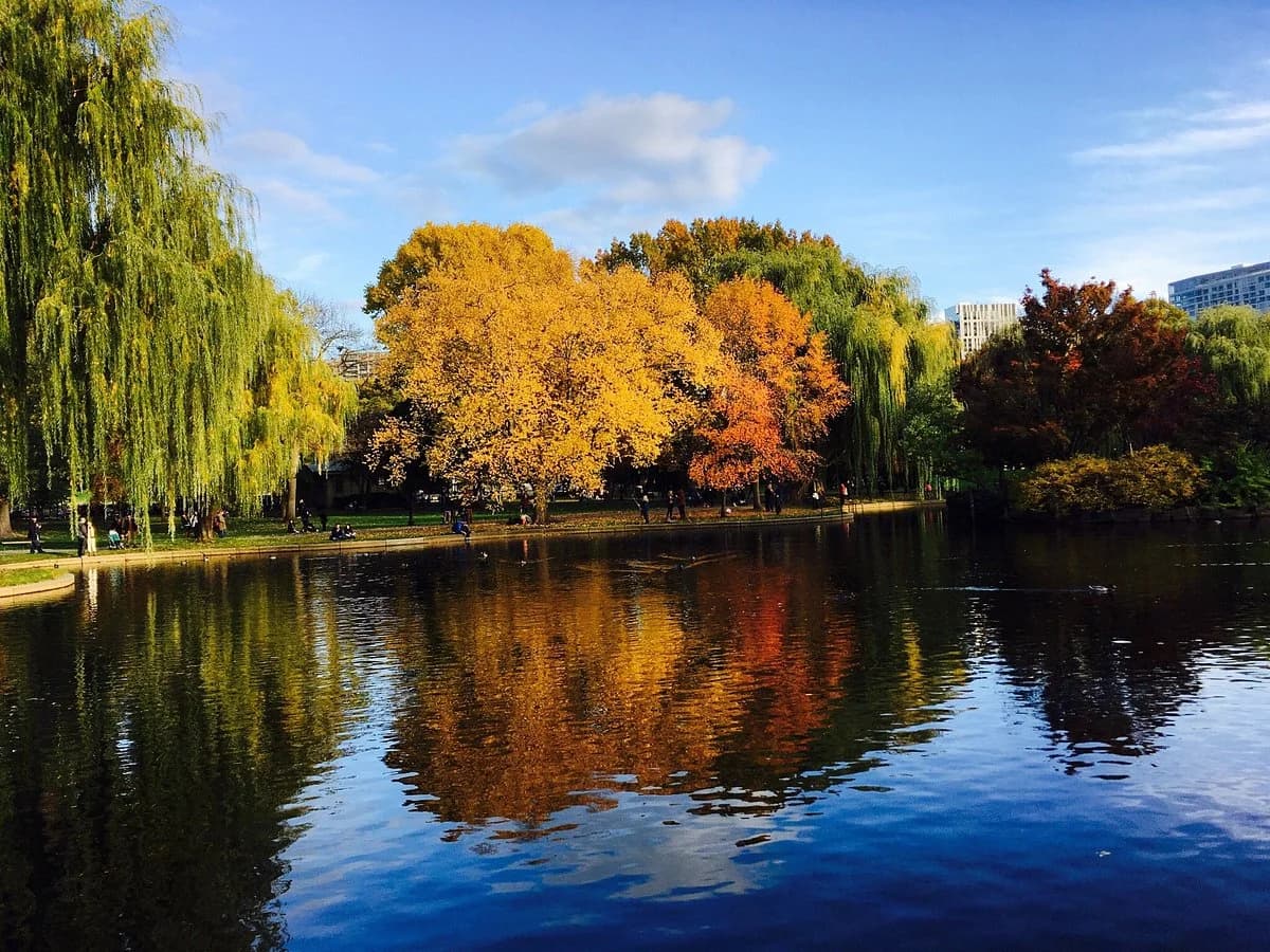 Boston Public Garden