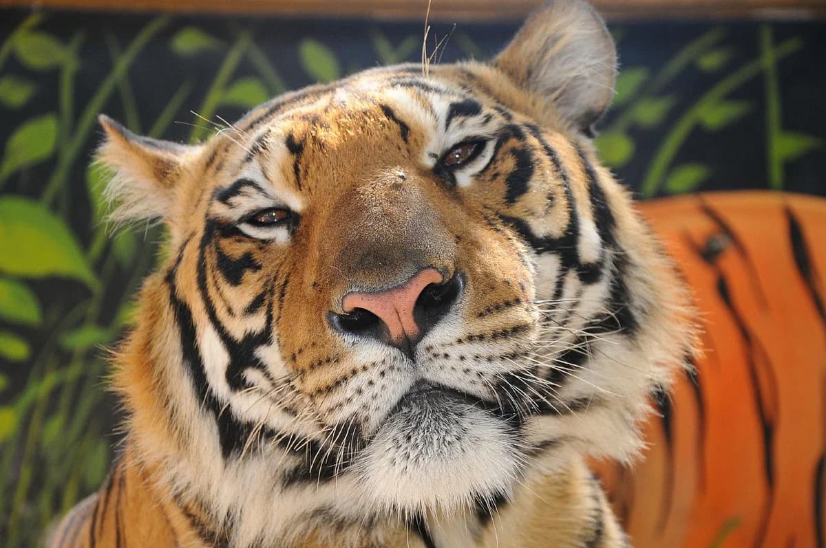 ZOO Lujan