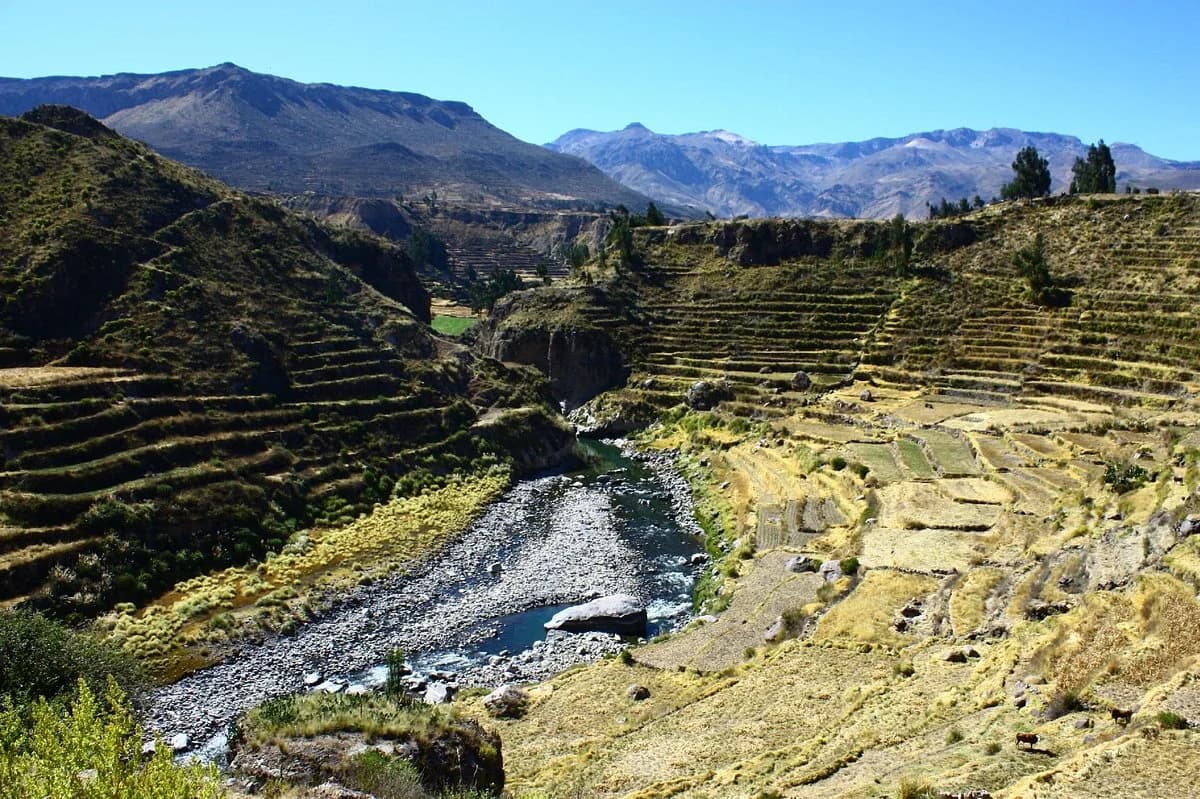 Colca Canyon