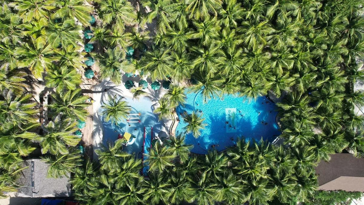 Crocobeach