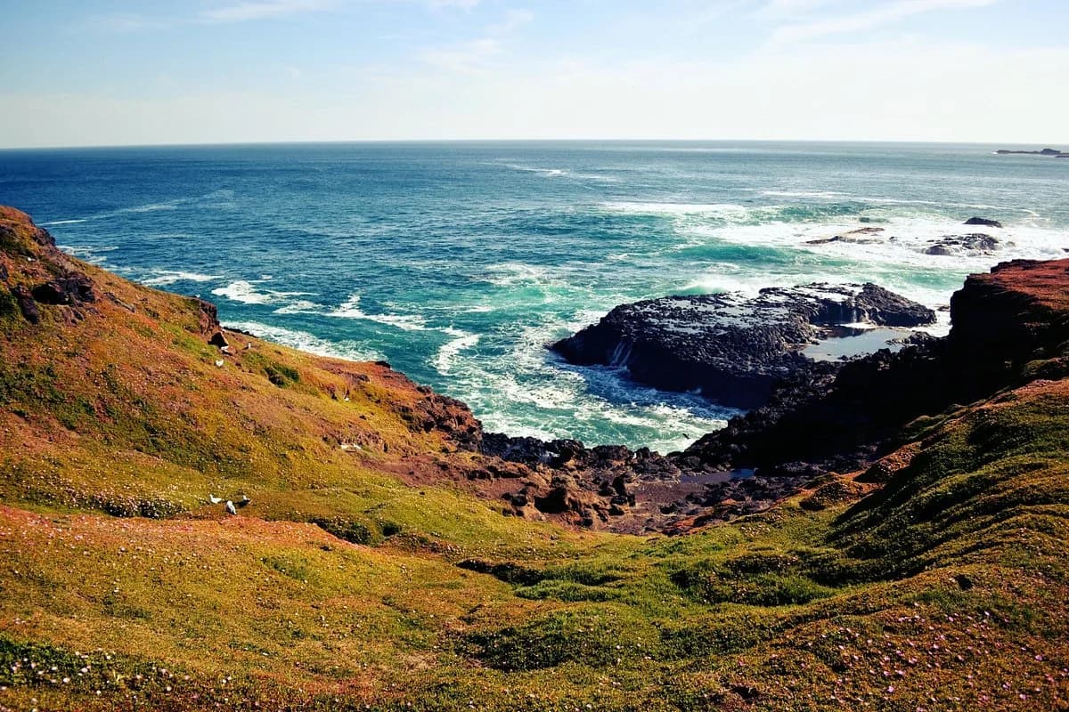 Phillip Island Nature Parks - Penguin Parade
